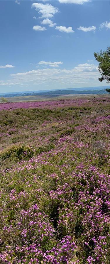 Bed and Breakfast Floyter House North Yorkshire Moors National Park Danby Екстер'єр фото