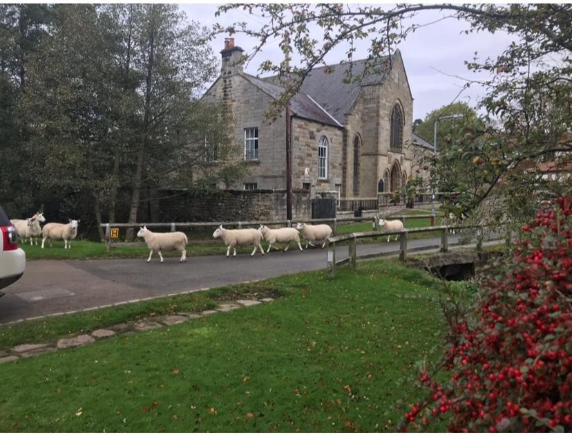 Bed and Breakfast Floyter House North Yorkshire Moors National Park Danby Екстер'єр фото